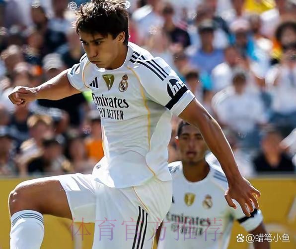 卡尔德隆:皇马今夏没钱买凯恩 贝尔现也不开心